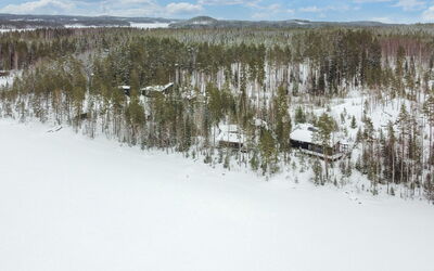 Hevonkuusi