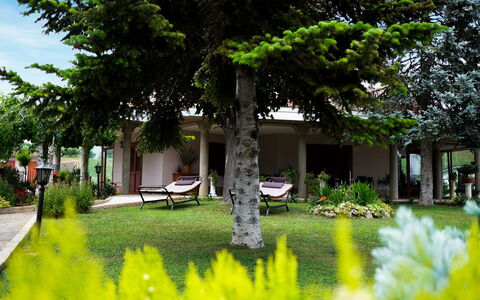Residenza Thaulero: Planta, Propiedad, Edificio, Botánica, Verde, Naturaleza, Hoja, Árbol, Vegetación, Arquitectura
