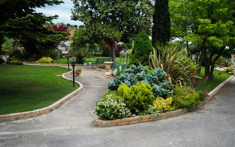 Residenza Thaulero: Planta, Árbol, Botánica, Superficie De La Carretera, Asfalto, Diseño Urbano, Flor, Cobertura Del Suelo, La Carretera, Hierba