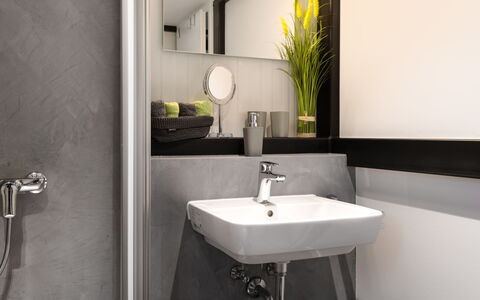 Tiny Haus Westerwald 16 Blue: Grifo, Espejo, Lavabo, Arreglo De Tubería, Lavabo Del Baño, Planta, Baño, Diseño De Interiores, Edificio, Arquitectura