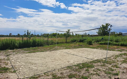 Balatoni Farmhaz: Nube, Planta, Cielo, Planta De La Comunidad, Paisaje Natural, Árbol, El Terreno Del Lote, Agricultura, Cúmulo, Hierba