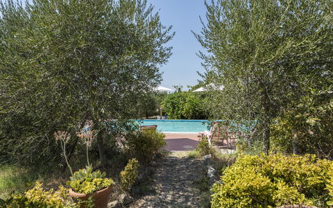 Villa Cevoli: Planta, Agua, Planta De La Comunidad, Cielo, Paisaje Natural, Árbol, Vegetación, Arbusto, Hierba, Piscina