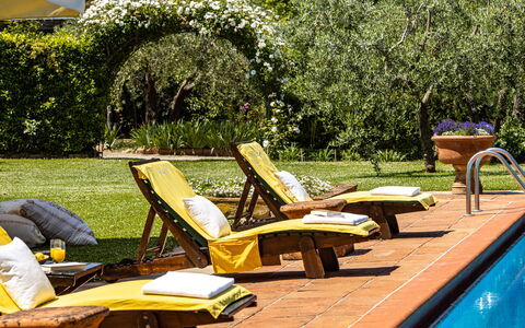 Podere La Torre: Planta, Verde, Agua, Mueble Para Exteriores, Madera, Sunlounger, Sombra, Árbol, Ocio, Hierba