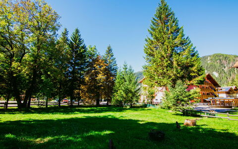 Canazei 440: Planta, Cielo, Paisaje Natural, Alerce, Árbol, El Terreno Del Lote, Vegetación, Luz De Sol, Hierba