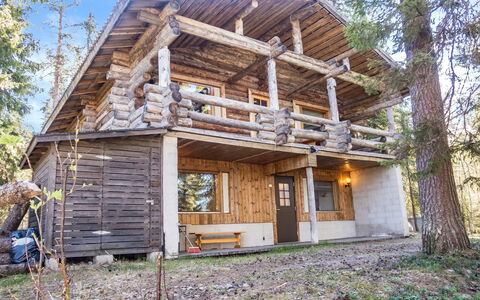 Napakymppi: Árbol, Madera, Rama, Arquitectura, Cabaña, Casa, Casa, Cuarto De Troncos, Vía Muerta, Alerce