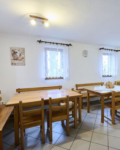 Garden & Pets Escape