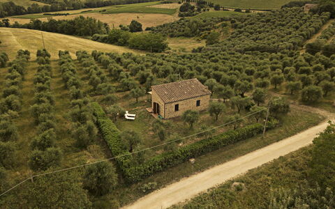 Montauto: Planta, Edificio, Paisaje Natural, Casa, El Terreno Del Lote, Tierras Altas, Árbol, Agricultura, Pradera, Hierba