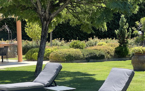 Villino Setteponti: Planta, Ligero, Hoja, Botánica, Árbol, Sombra, Hierba, Mueble Para Exteriores, Banco Al Aire Libre, Ocio