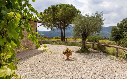 Villa Tavernacce: Cielo, Nube, Planta, Planta De La Comunidad, Árbol, Paisaje Natural, Superficie De La Carretera, El Terreno Del Lote, Hierba, Arbusto
