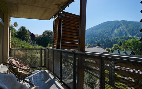 Harrachov 67: Cielo, Propiedad, Planta, Madera, Porche, Sombra, Edificio, Árbol, Cerca, Montaña