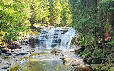 Harrachov 67