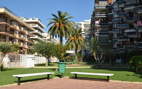 Formentor: Planta, Cielo, Agua, Propiedad, Edificio, Azur, Árbol, Piscina, Diseño Urbano, Arecales
