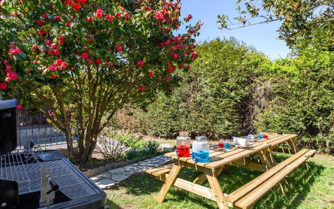 La Perle: Agua, Planta, Cielo, Propiedad, Naturaleza, Azur, Piscina, Árbol, Vegetación, Hierba