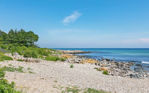 Gjuro - 50M from the Sea: Madera, Mueble, Departamento, Habitación, Techo, Manchas De Madera, Silla, Madera Dura, Barniz, Maderas
