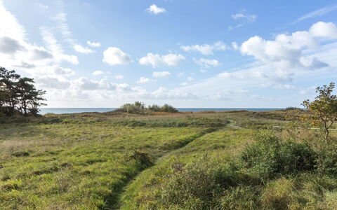 Kajsa - 50M from the Sea: Hierba, Casa, Techo, Casa, Cabaña, Arbusto, El Terreno Del Lote, Área Rural, Casa De Campo, Cobertura Del Suelo