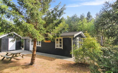 Zeytun - 800M from the Sea