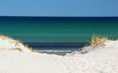 Talvikki - 250M from the Sea: Madera, Mueble, Departamento, Habitación, Techo, Manchas De Madera, Silla, Madera Dura, Barniz, Maderas