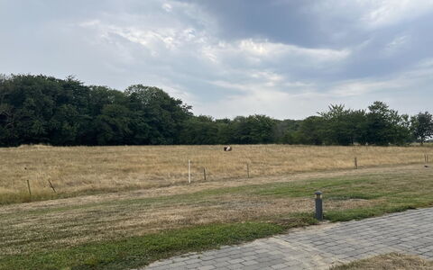 Manfred - 6Km from the Sea: Madera, Mueble, Departamento, Habitación, Techo, Manchas De Madera, Silla, Madera Dura, Barniz, Maderas
