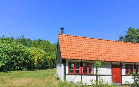 Viggo - 300M from the Sea: Madera, Casa, Cabaña, Casa, Techo, Área Rural, Vía Muerta, Cuarto De Troncos, Edificios Del Jardín, Madera Dura