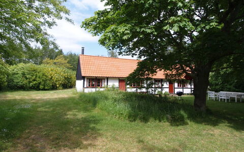 Viggo - 300M from the Sea: Madera, Casa, Cabaña, Casa, Techo, Área Rural, Vía Muerta, Cuarto De Troncos, Edificios Del Jardín, Madera Dura