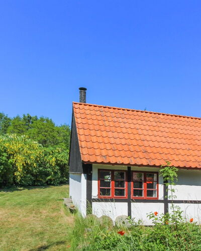 Viggo - 300M from the Sea