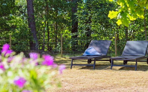 Malou - 350M from the Sea: Mueble, Mueble Para Exteriores, Planta De La Comunidad, Luz De Sol, Cobertura Del Suelo, Sombra, Bosque, Reserva Natural, Jardín, Bosque
