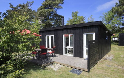 Evert - 250M from the Sea