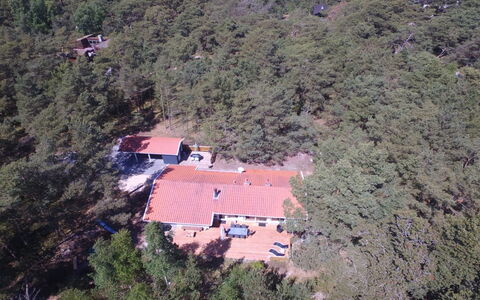 Dagi - 300M from the Sea: Madera, Casa, Cabaña, Casa, Techo, Área Rural, Vía Muerta, Cuarto De Troncos, Edificios Del Jardín, Madera Dura
