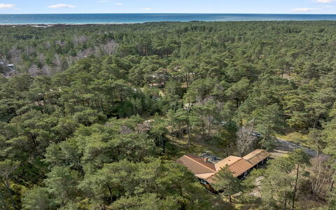 Gaja - 1Km from the Sea: Paisaje, Ecorregión, El Terreno Del Lote, Bosque, Vista Panorámica, Fotografía Aérea, Plantación, Selva, Chaparral, Selva