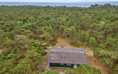 Michel - 300M from the Sea: Madera, Casa, Cabaña, Casa, Techo, Área Rural, Vía Muerta, Cuarto De Troncos, Edificios Del Jardín, Madera Dura