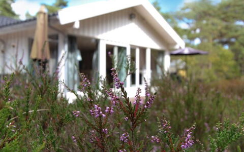 Minka - 300M from the Sea: Madera, Casa, Cabaña, Casa, Techo, Área Rural, Vía Muerta, Cuarto De Troncos, Edificios Del Jardín, Madera Dura