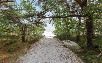 Fastulf - 300M from the Sea