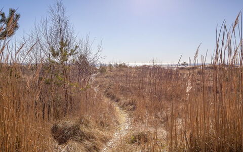Unto - 25M from the Sea: Madera, Casa, Cabaña, Casa, Techo, Área Rural, Vía Muerta, Cuarto De Troncos, Edificios Del Jardín, Madera Dura