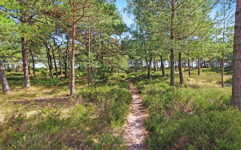 Læff - 50M from the Sea: Madera, Casa, Cabaña, Casa, Techo, Área Rural, Vía Muerta, Cuarto De Troncos, Edificios Del Jardín, Madera Dura