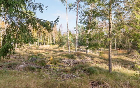 Jaarne - 800M from the Sea: Madera, Casa, Cabaña, Casa, Techo, Área Rural, Vía Muerta, Cuarto De Troncos, Edificios Del Jardín, Madera Dura
