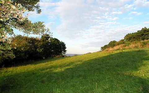Cristiana - 950M from the Sea: Madera, Casa, Cabaña, Casa, Techo, Área Rural, Vía Muerta, Cuarto De Troncos, Edificios Del Jardín, Madera Dura