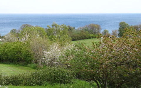 Iikka - 300M from the Sea: Madera, Casa, Cabaña, Casa, Techo, Área Rural, Vía Muerta, Cuarto De Troncos, Edificios Del Jardín, Madera Dura