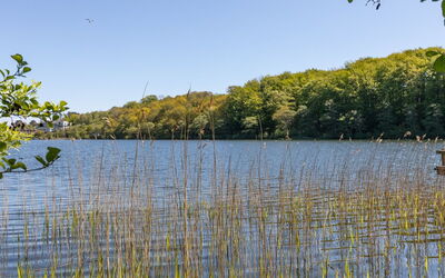 Takenya - 400M from the Sea