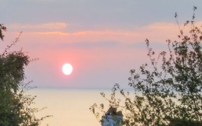 Dagmar - 300M from the Sea