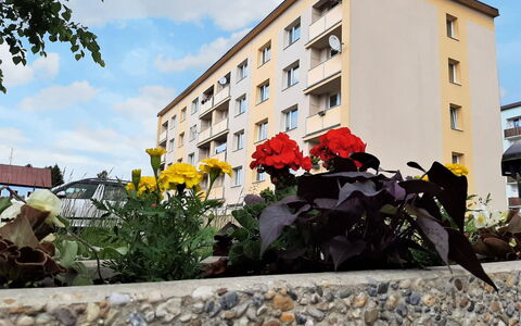 Helena Harrachov: Flor, Cielo, Edificio, Nube, Planta, Tiempo De Día, Ventana, Casa, Barrio, Superficie De La Carretera