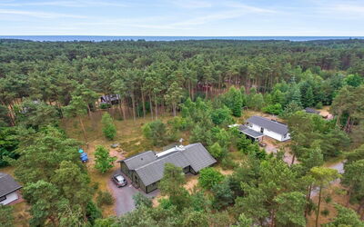 Elona - 950M from the Sea
