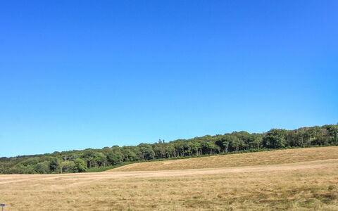 Rask - 3Km from the Sea: Madera, Casa, Cabaña, Casa, Techo, Área Rural, Vía Muerta, Cuarto De Troncos, Edificios Del Jardín, Madera Dura