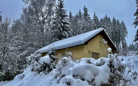 Konrad: Cielo, Edificio, Nieve, Planta, Ventana, Árbol, Rama, Pendiente, Alerce, Casa