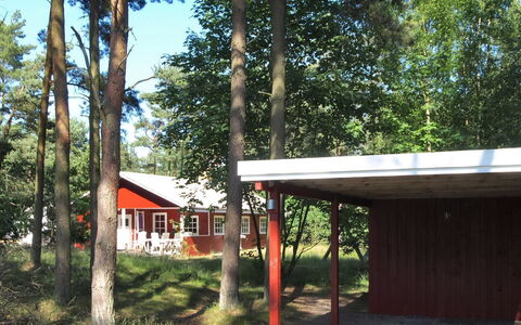 Meret - 800M from the Sea