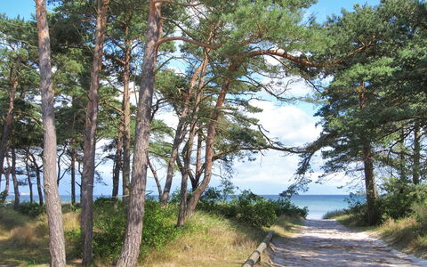 Ignat - 175M from the Sea: Madera, Casa, Cabaña, Casa, Techo, Área Rural, Vía Muerta, Cuarto De Troncos, Edificios Del Jardín, Madera Dura
