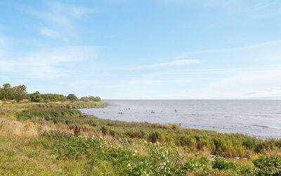 Julietta - 50M from the Sea