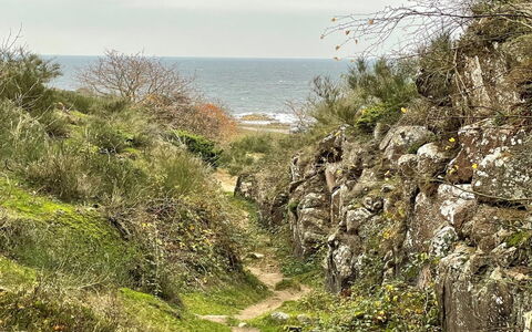Ramona - 10M from the Sea: Madera, Casa, Cabaña, Casa, Techo, Área Rural, Vía Muerta, Cuarto De Troncos, Edificios Del Jardín, Madera Dura