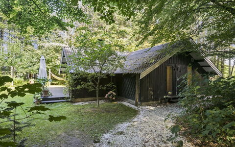 Iskra - 900M from the Sea: Hoja, Madera, Rama, Arquitectura, Casa, Cabaña, Casa, Ramita, Cobertura Del Suelo, Primavera