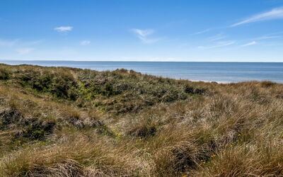 Guthfrith - 100M from the Sea