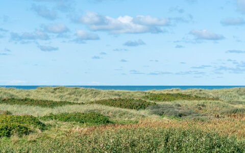 Anne - 100M from the Sea: Azul, Cielo, Hierba, Entorno Natural, Pradera, Vegetación, Horizonte, Ecorregión, Nube, Paisaje Natural
